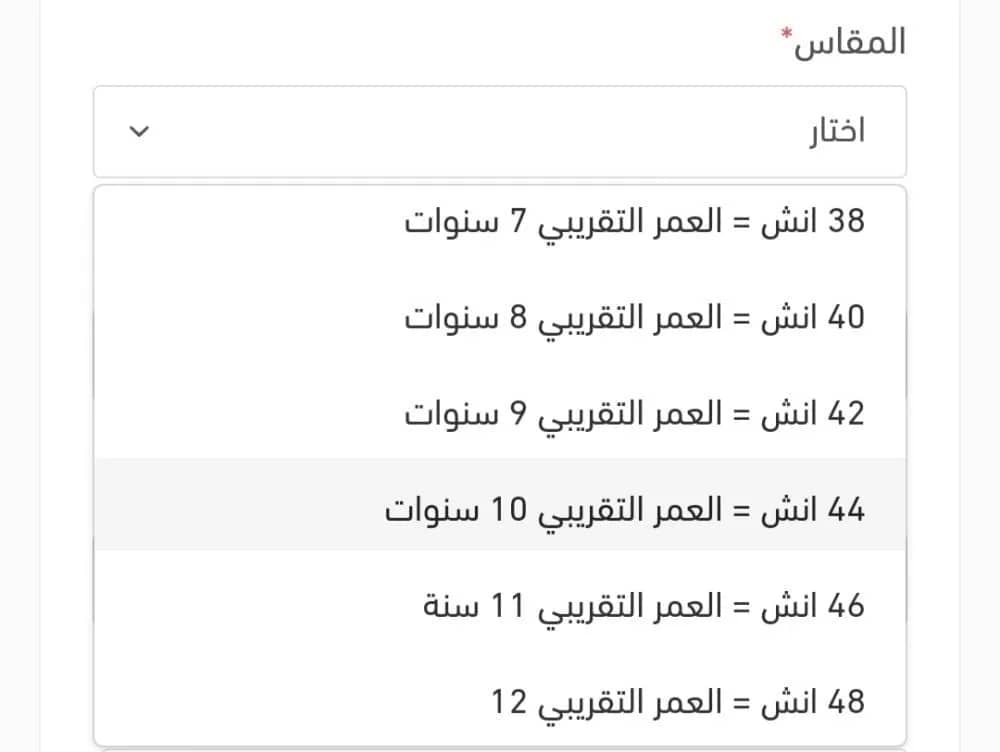صورة المنتج