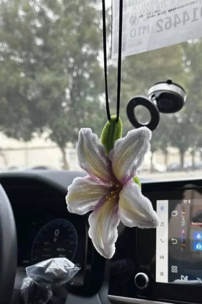 صورة المنتج