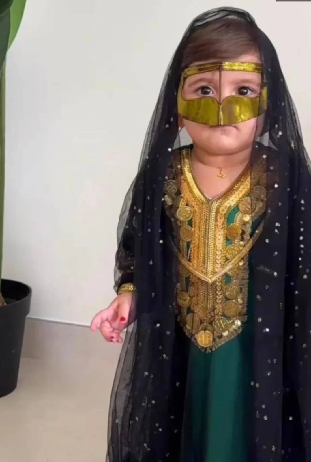 صورة المنتج