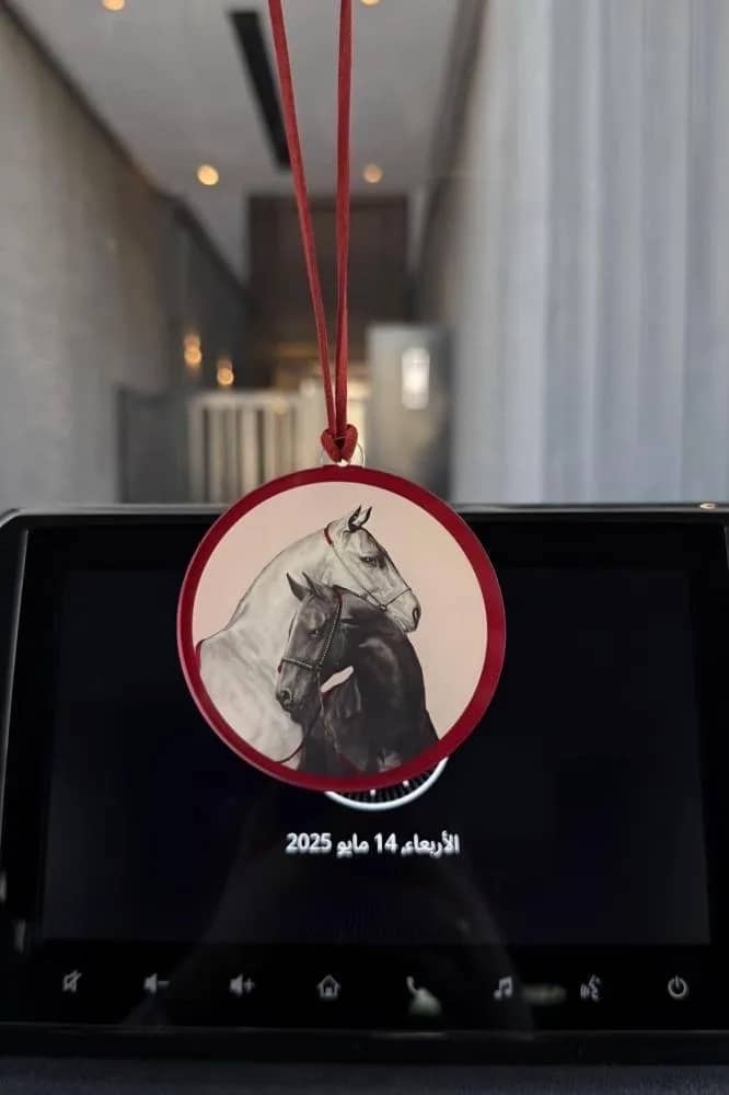 صورة المنتج