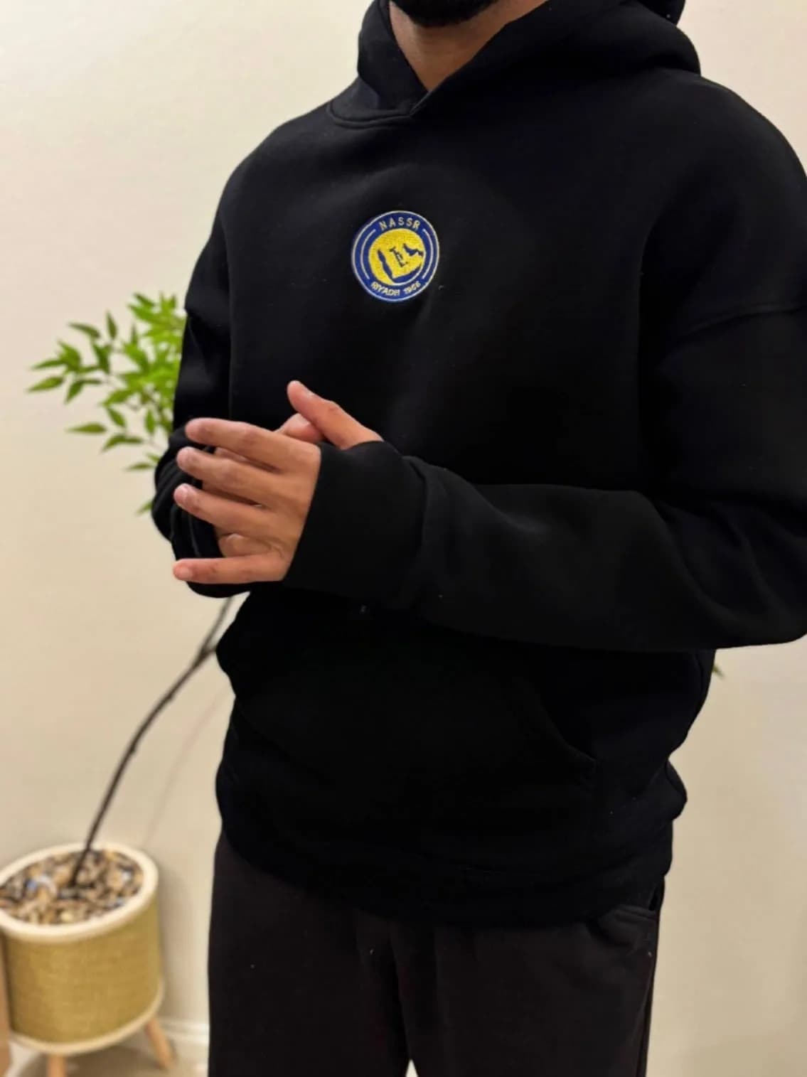 صورة بلوفر النصر