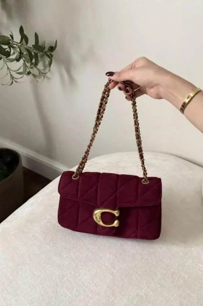 صورة حقيبة كوتش تابي صغيرة عنابية